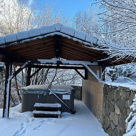 Chalet Adonis - Montriond, Morzine, Avoriaz Bagian luar foto