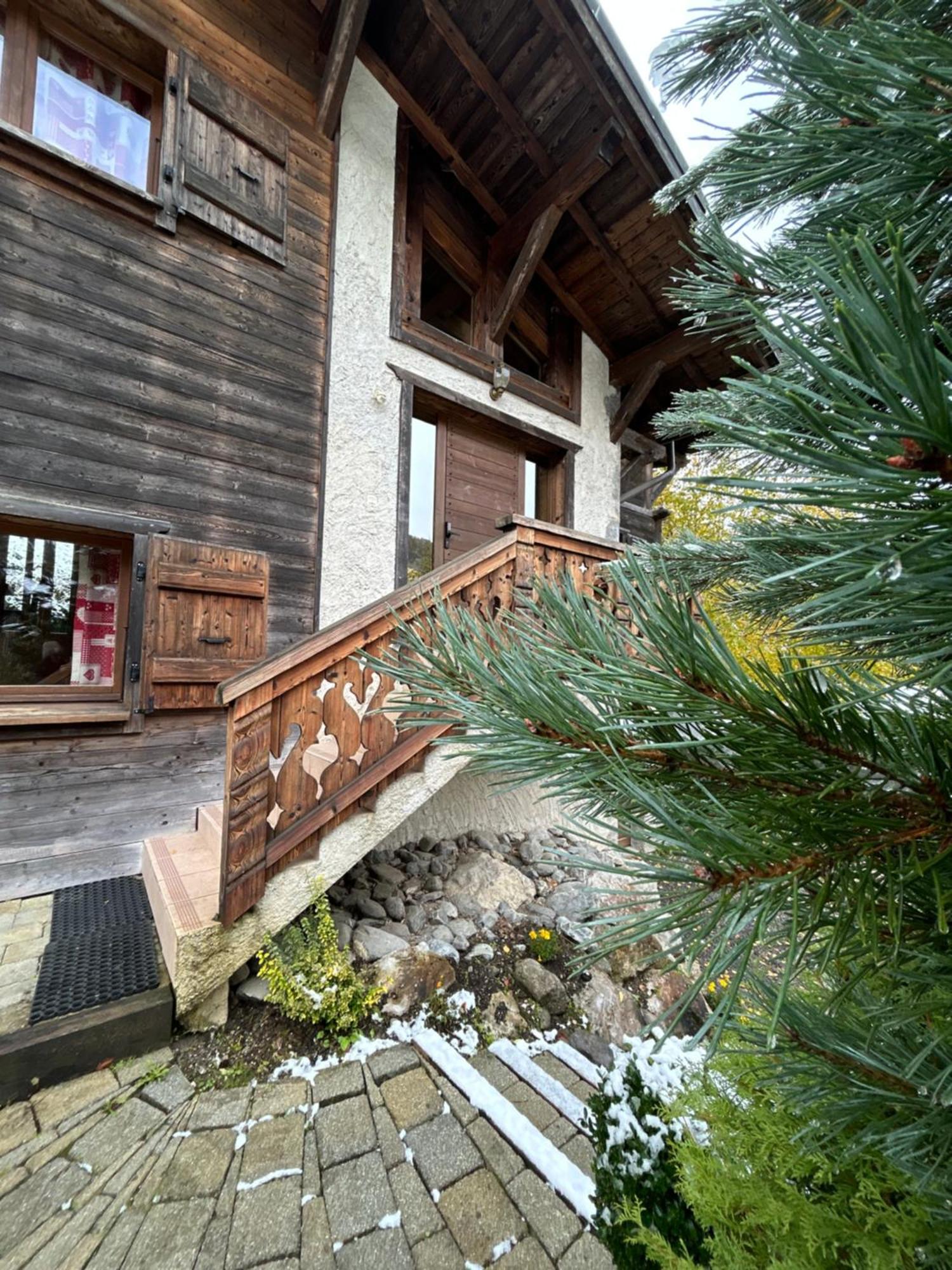 Chalet Adonis - Montriond, Morzine, Avoriaz Bagian luar foto
